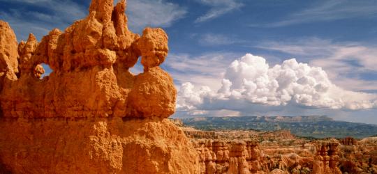 Bryce